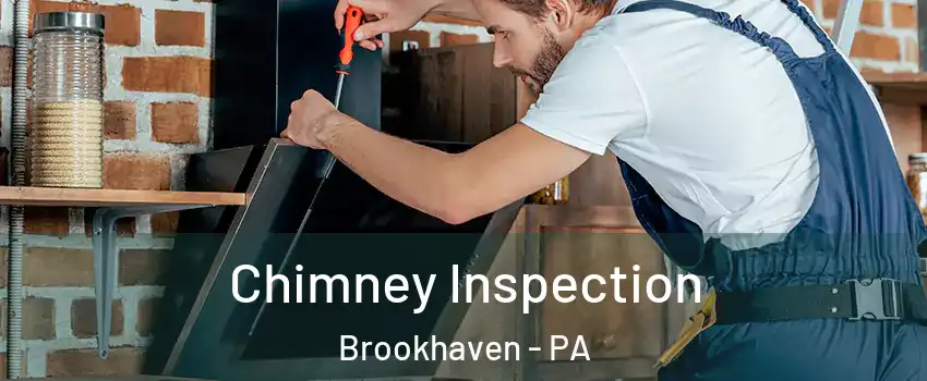 Chimney Inspection Brookhaven - PA