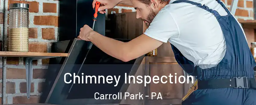 Chimney Inspection Carroll Park - PA