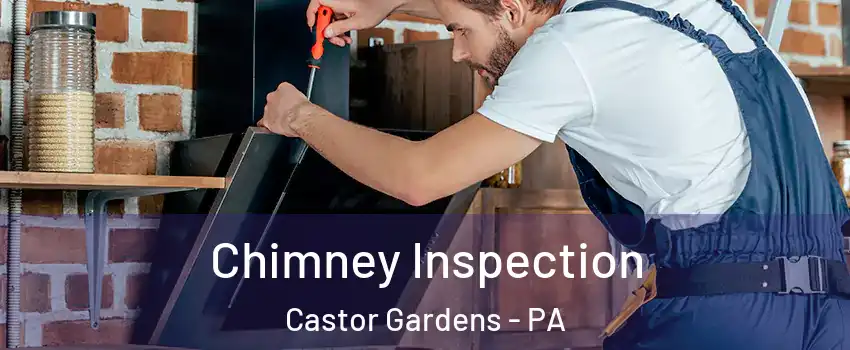 Chimney Inspection Castor Gardens - PA