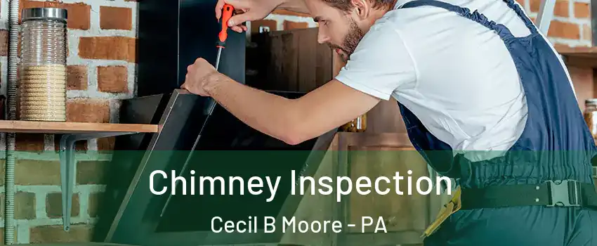 Chimney Inspection Cecil B Moore - PA