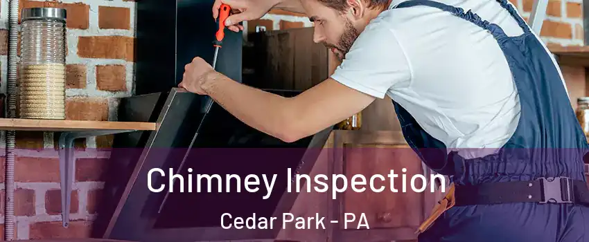 Chimney Inspection Cedar Park - PA