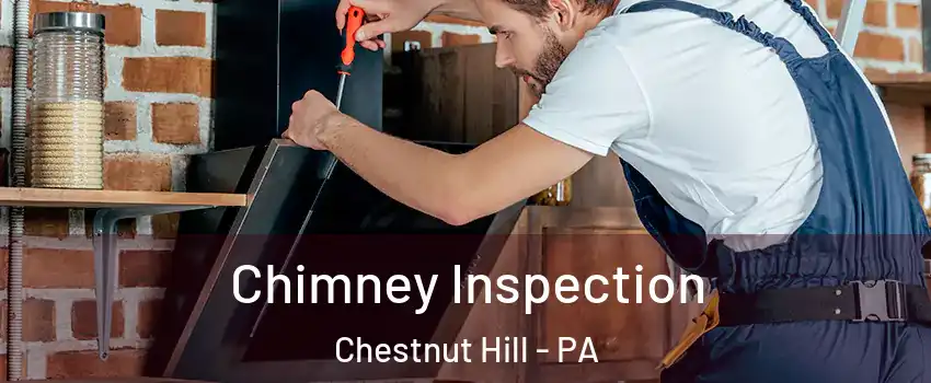 Chimney Inspection Chestnut Hill - PA