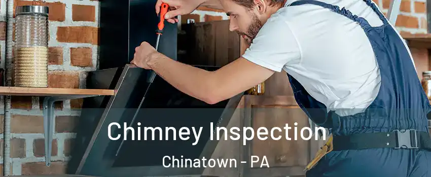 Chimney Inspection Chinatown - PA