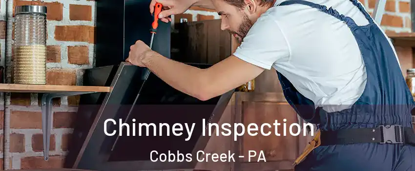 Chimney Inspection Cobbs Creek - PA