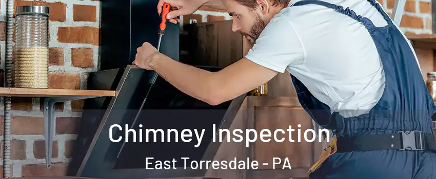 Chimney Inspection East Torresdale - PA