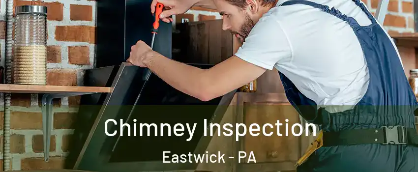 Chimney Inspection Eastwick - PA