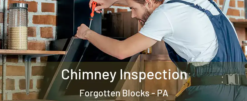 Chimney Inspection Forgotten Blocks - PA