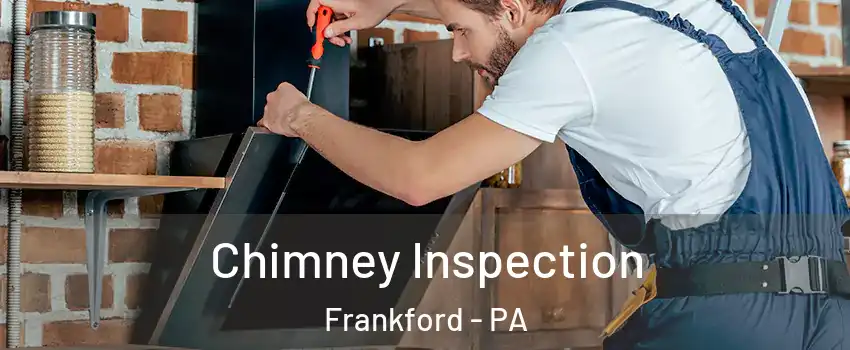 Chimney Inspection Frankford - PA