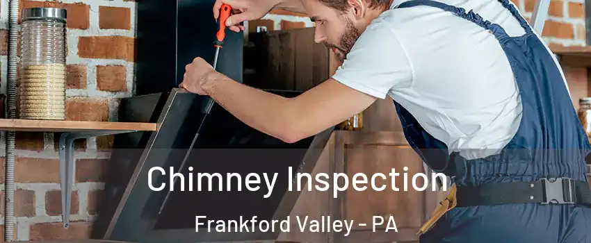 Chimney Inspection Frankford Valley - PA