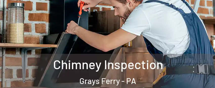 Chimney Inspection Grays Ferry - PA