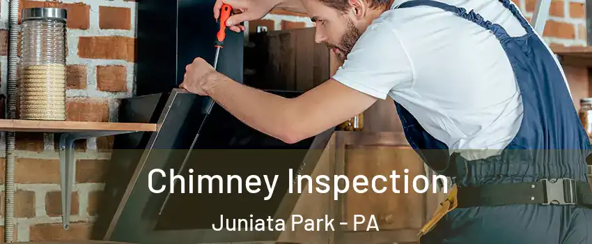 Chimney Inspection Juniata Park - PA