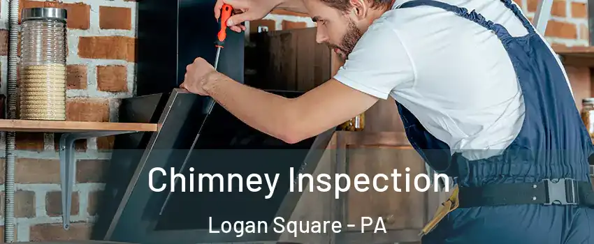 Chimney Inspection Logan Square - PA