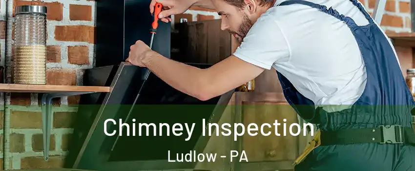Chimney Inspection Ludlow - PA