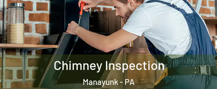 Chimney Inspection Manayunk - PA