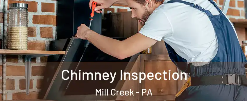 Chimney Inspection Mill Creek - PA