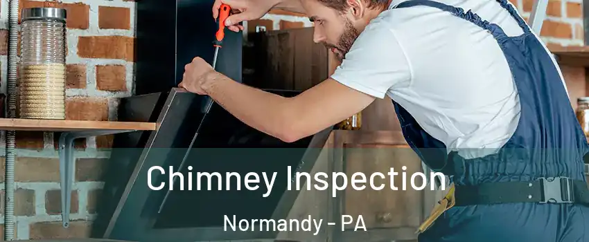 Chimney Inspection Normandy - PA