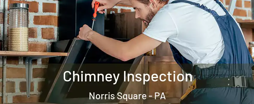 Chimney Inspection Norris Square - PA