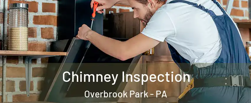 Chimney Inspection Overbrook Park - PA