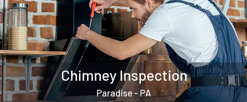 Chimney Inspection Paradise - PA