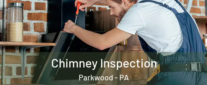 Chimney Inspection Parkwood - PA
