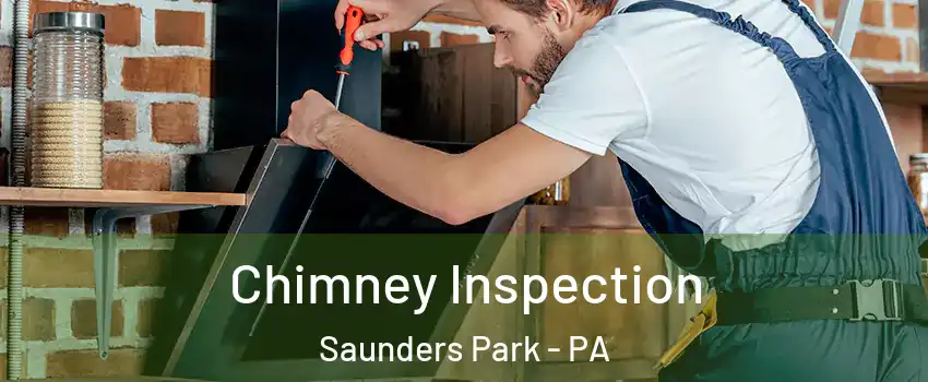Chimney Inspection Saunders Park - PA