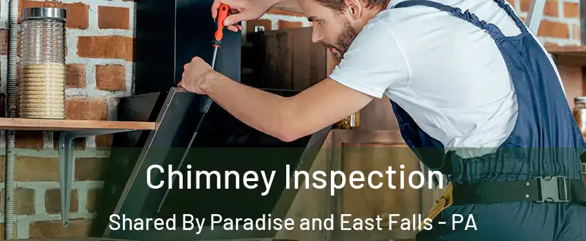 Chimney Inspection Shared By Paradise and East Falls - PA