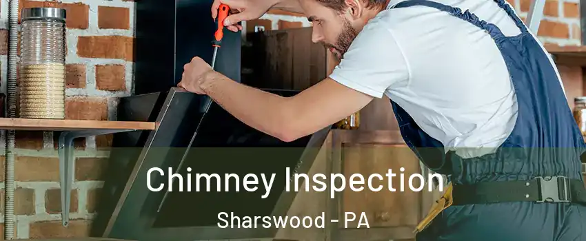 Chimney Inspection Sharswood - PA