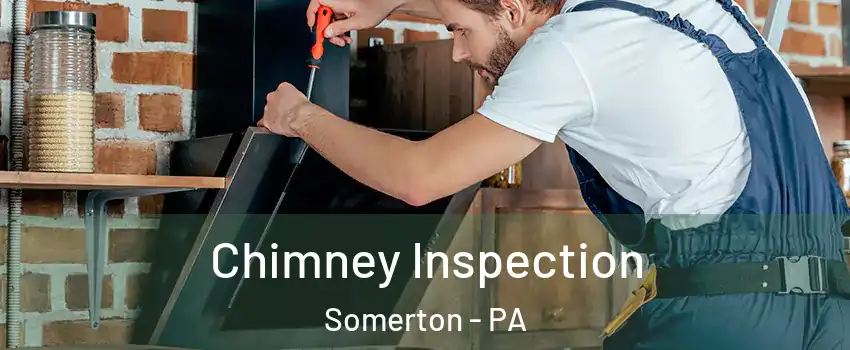Chimney Inspection Somerton - PA