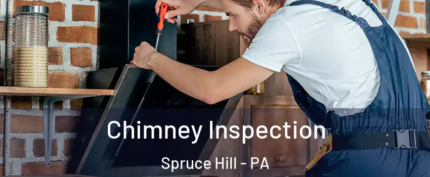 Chimney Inspection Spruce Hill - PA