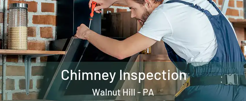 Chimney Inspection Walnut Hill - PA