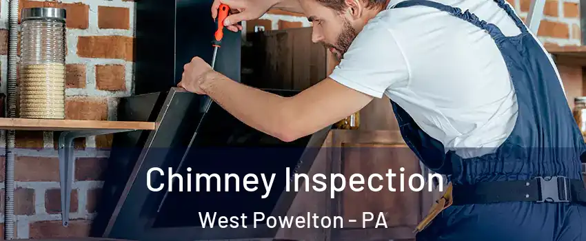 Chimney Inspection West Powelton - PA