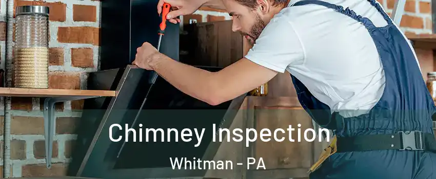 Chimney Inspection Whitman - PA