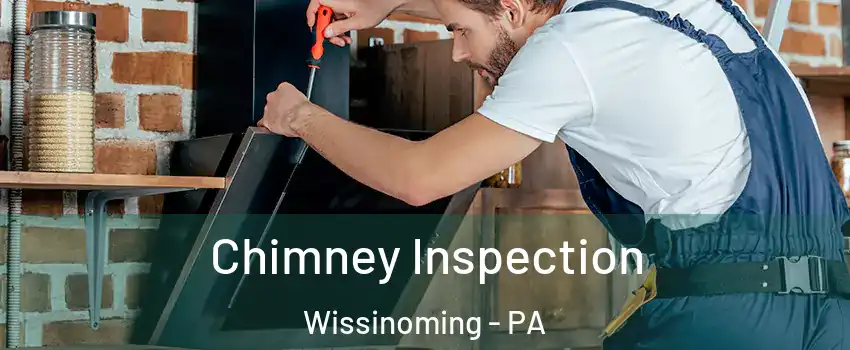 Chimney Inspection Wissinoming - PA