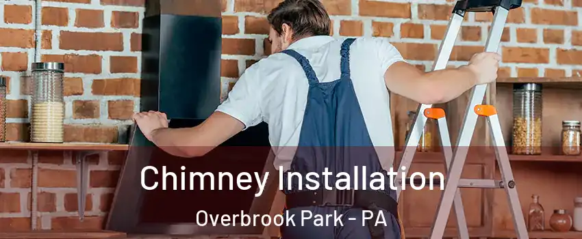 Chimney Installation Overbrook Park - PA