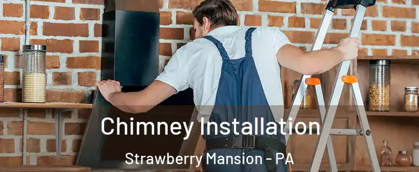 Chimney Installation Strawberry Mansion - PA