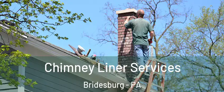 Chimney Liner Services Bridesburg - PA