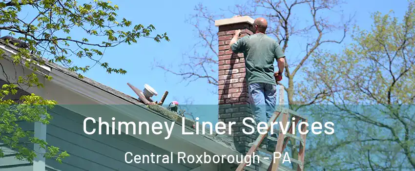Chimney Liner Services Central Roxborough - PA
