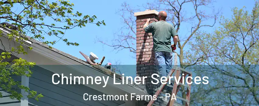 Chimney Liner Services Crestmont Farms - PA