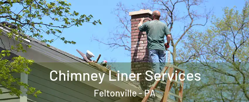Chimney Liner Services Feltonville - PA