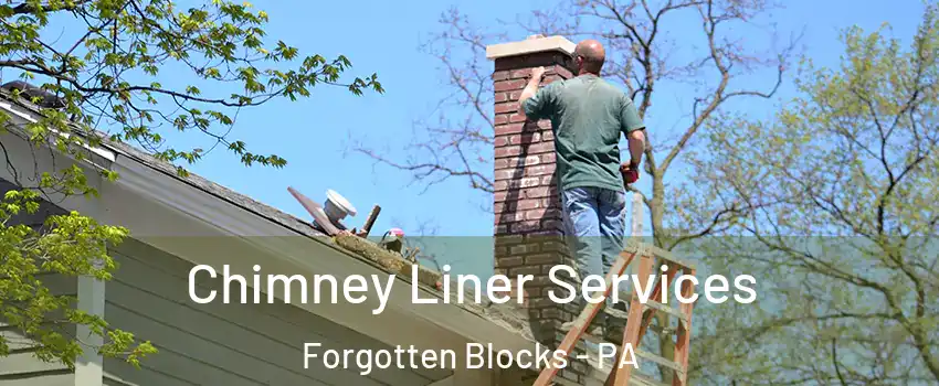 Chimney Liner Services Forgotten Blocks - PA