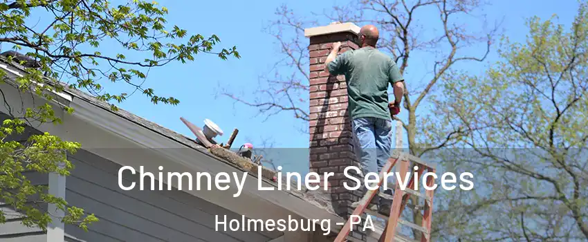 Chimney Liner Services Holmesburg - PA