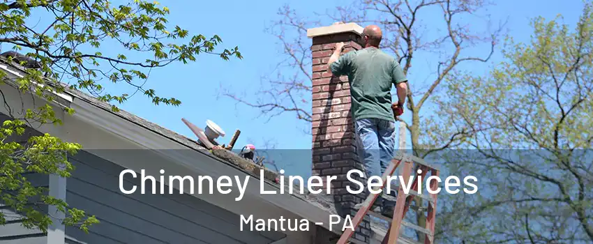 Chimney Liner Services Mantua - PA
