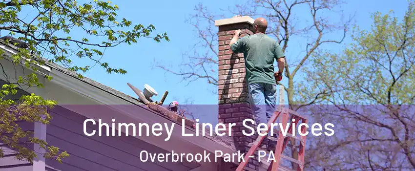 Chimney Liner Services Overbrook Park - PA