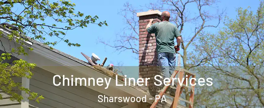 Chimney Liner Services Sharswood - PA