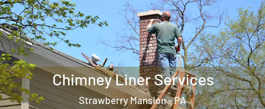 Chimney Liner Services Strawberry Mansion - PA