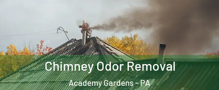 Chimney Odor Removal Academy Gardens - PA
