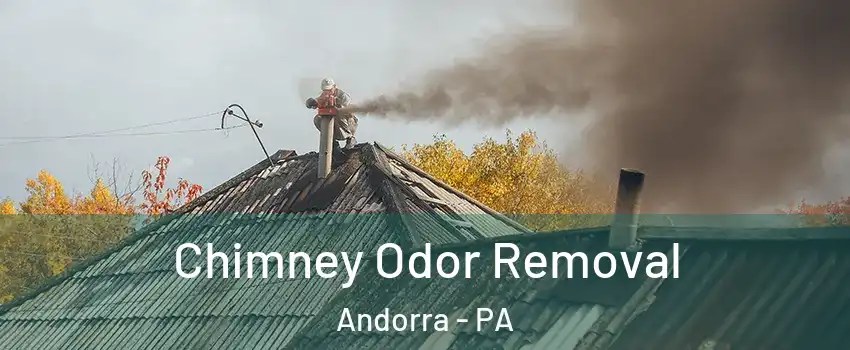 Chimney Odor Removal Andorra - PA