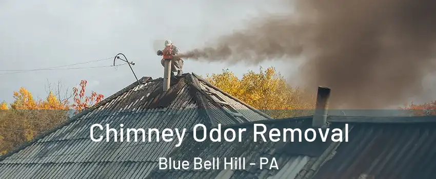 Chimney Odor Removal Blue Bell Hill - PA
