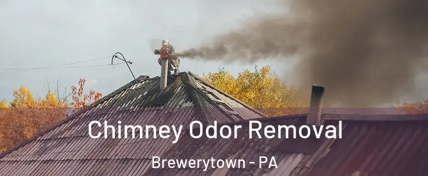 Chimney Odor Removal Brewerytown - PA