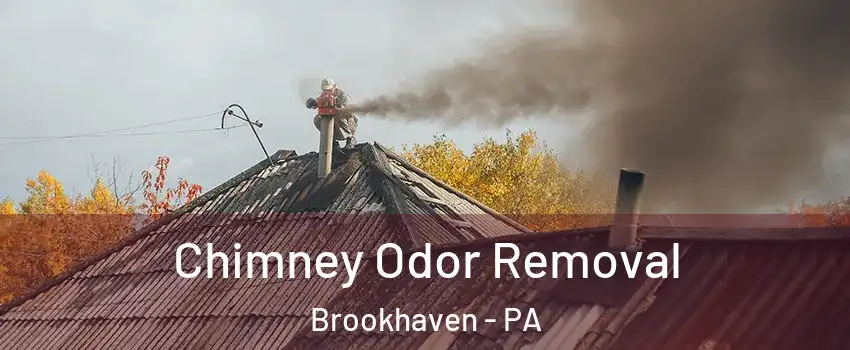 Chimney Odor Removal Brookhaven - PA